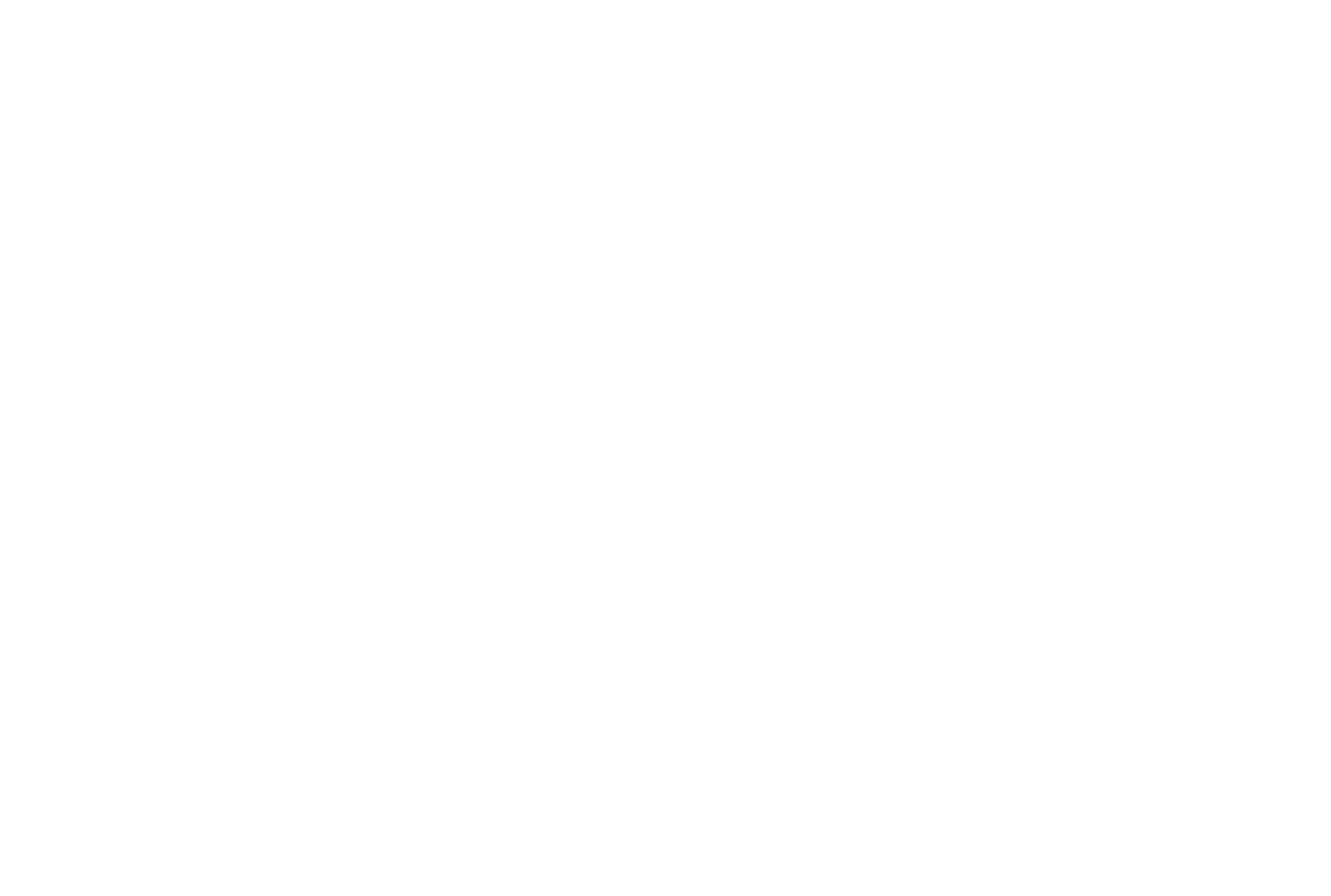 VVO Holdings LLC